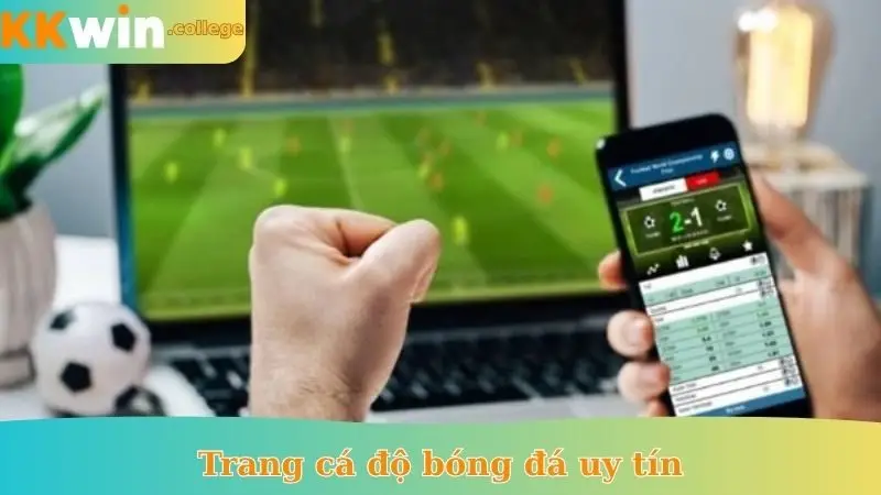 trang cá độ bóng đá uy tín
